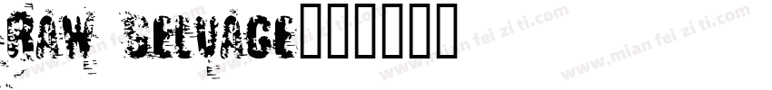 Raw Selvage字体转换